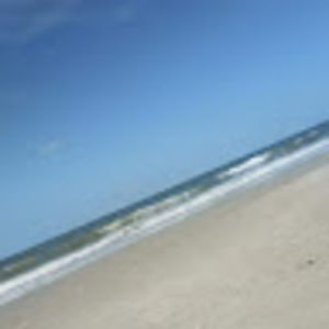 Meet your Posher, Jackson